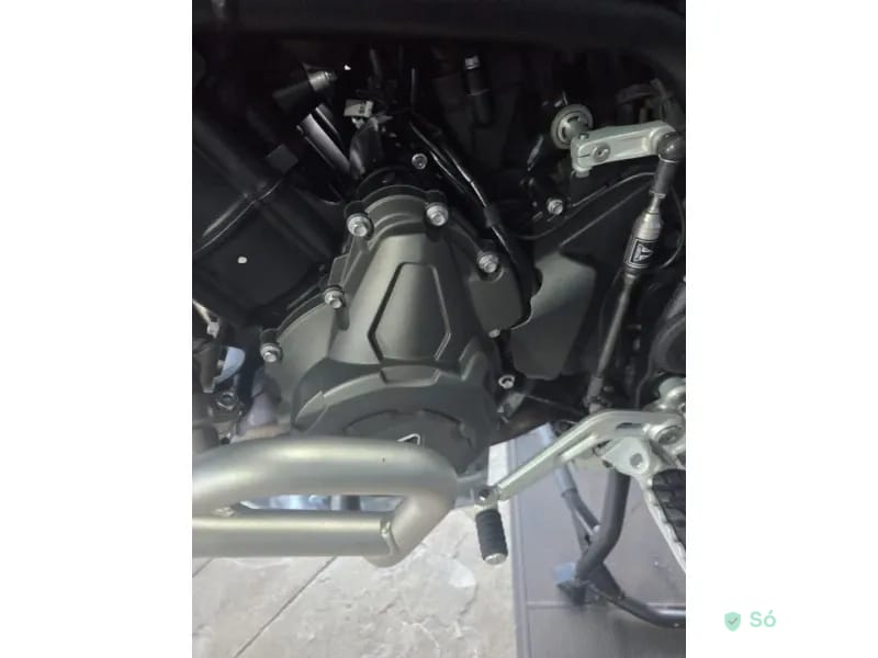 Triumph Tiger 900 Rally Pro Trail — foto 13